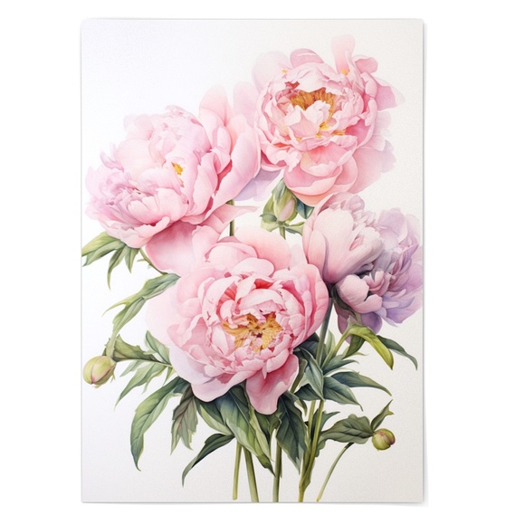 Watercolor Peonies Wall Art Illustration Print Poster Unframed - Picture 2 of 5